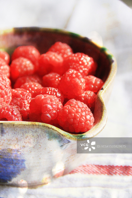 美国佐治亚州休斯顿县华纳罗宾斯盆栽中的覆盆子图片素材