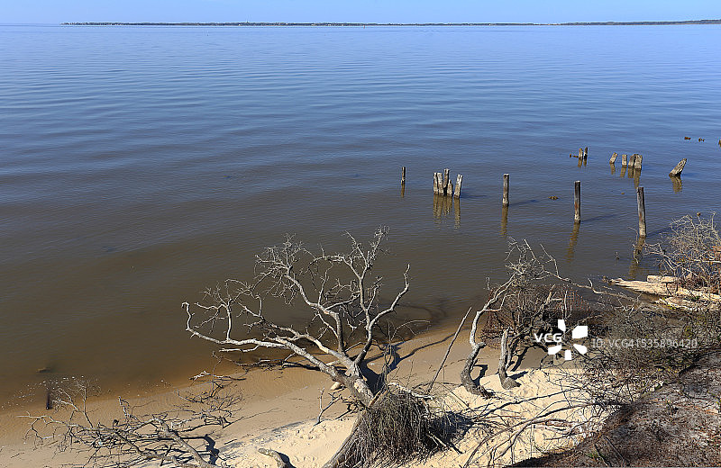 倒下的树木和桩柱-北卡罗来纳州罗阿诺克岛图片素材