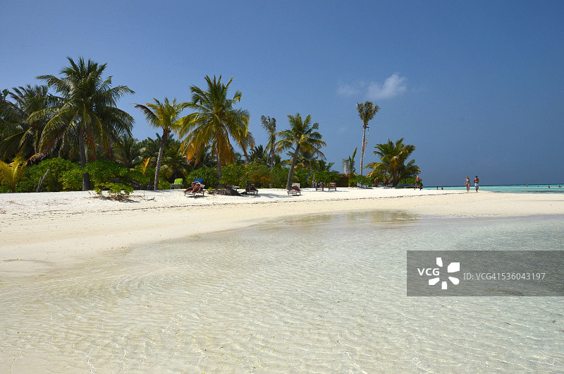 马尔代夫海滩，棕榈树和白色沙滩图片素材