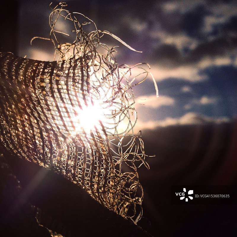 本月最佳图片素材