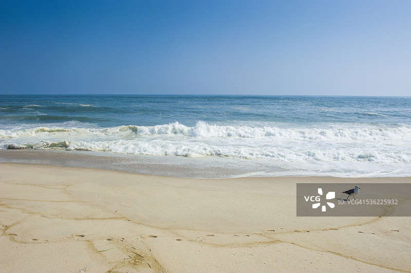 美国纽约长岛汉普顿长沙滩图片素材