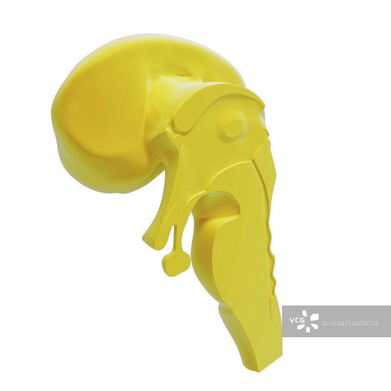 人脑解剖，电脑艺术作品图片素材