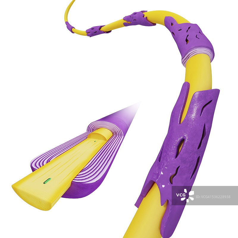 髓磷脂变质的电脑艺术图图片素材