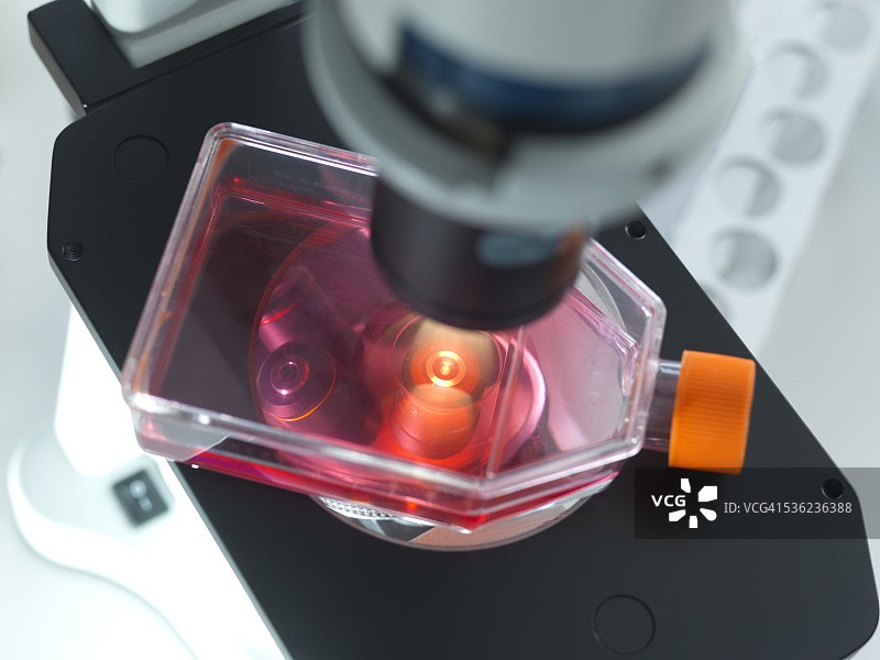 细胞生物学研究图片素材