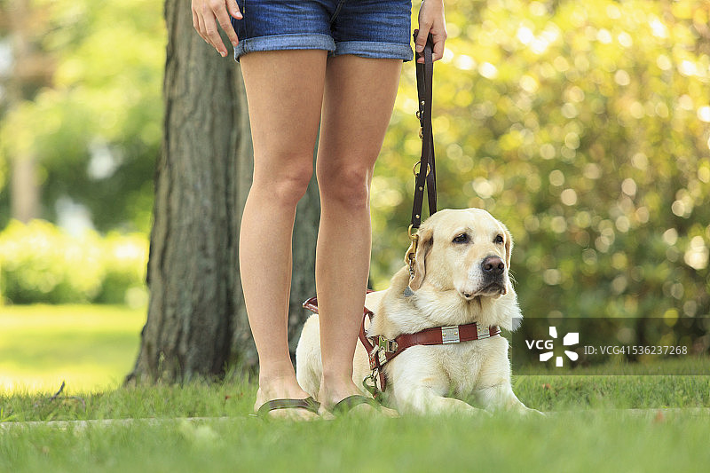 有视觉障碍的妇女与她的服务犬坐在一起图片素材