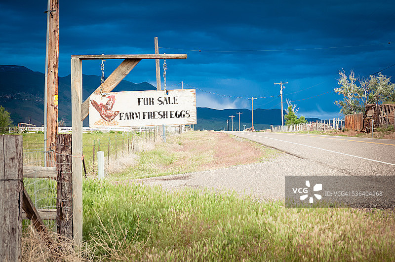 待售鸡蛋图片素材
