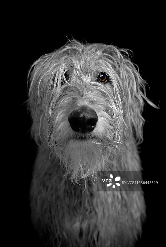 海报男孩图片素材