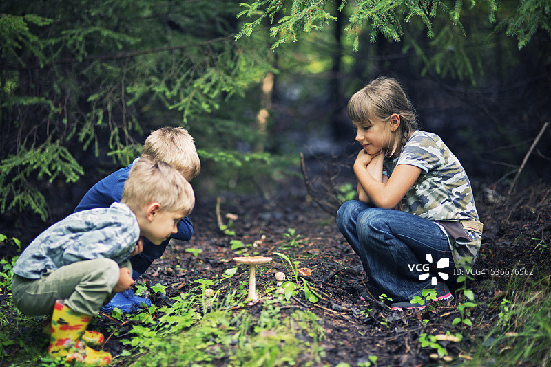 在森林里采蘑菇的小徒步者图片素材