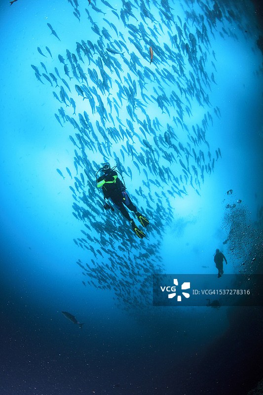 水肺潜水员与鱼群图片素材