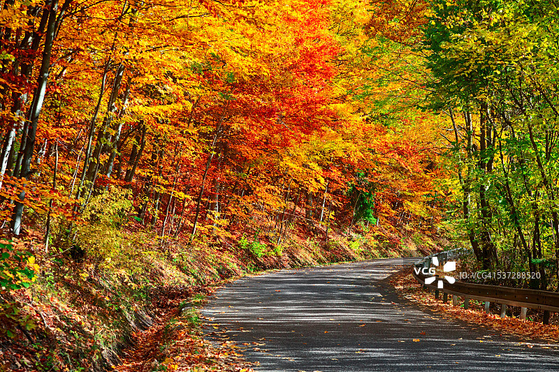 蜿蜒穿过秋季森林的道路，斯洛伐克图片素材