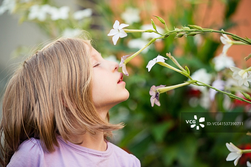 闻花香图片素材