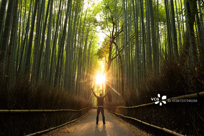 自然环境中的成功理念图片素材