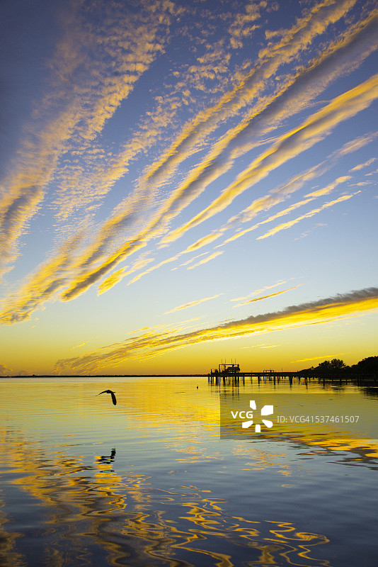 金色日落，坦帕湾图片素材