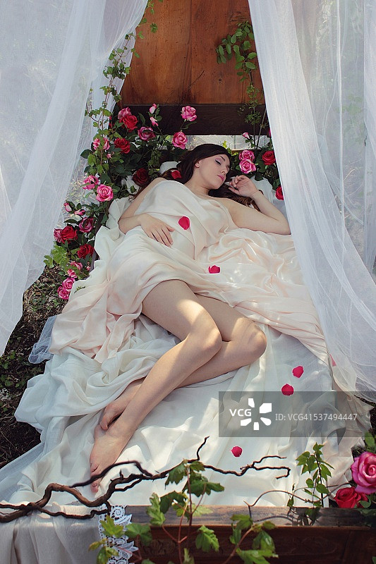 睡美人图片素材