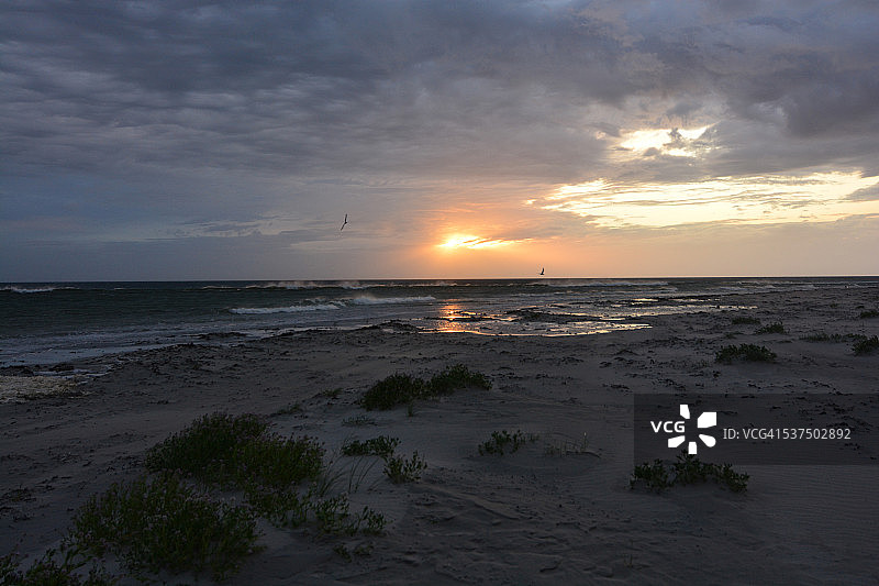 狂野海滩日落图片素材