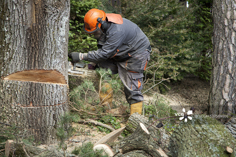 手持电锯的林业工人图片素材