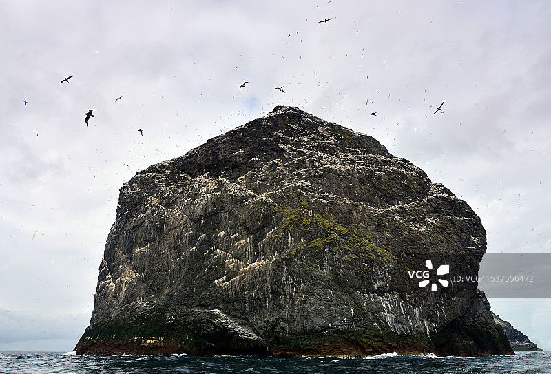 圣基尔达塘鹅栖息地图片素材