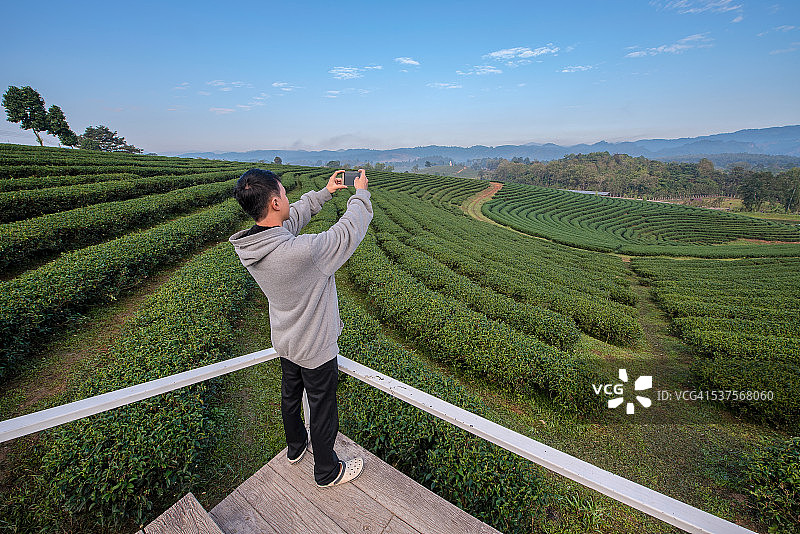 亚洲年轻男子在茶园用手机自拍图片素材