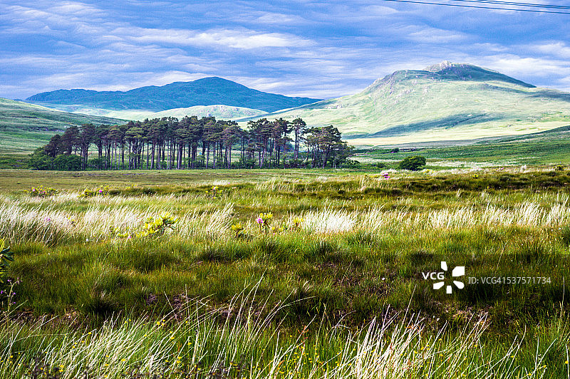 朱拉岛树木和沼泽地后面的朱拉山图片素材