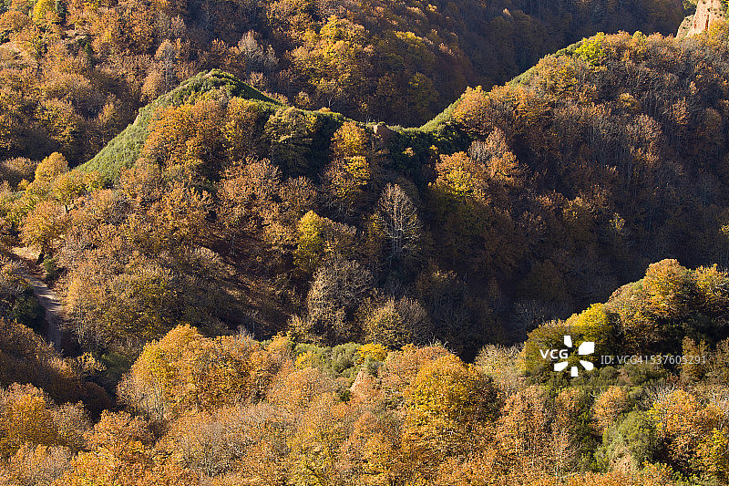 拉斯梅杜拉斯图片素材