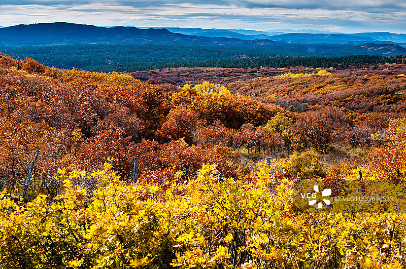 丰富多彩的秋天图片素材