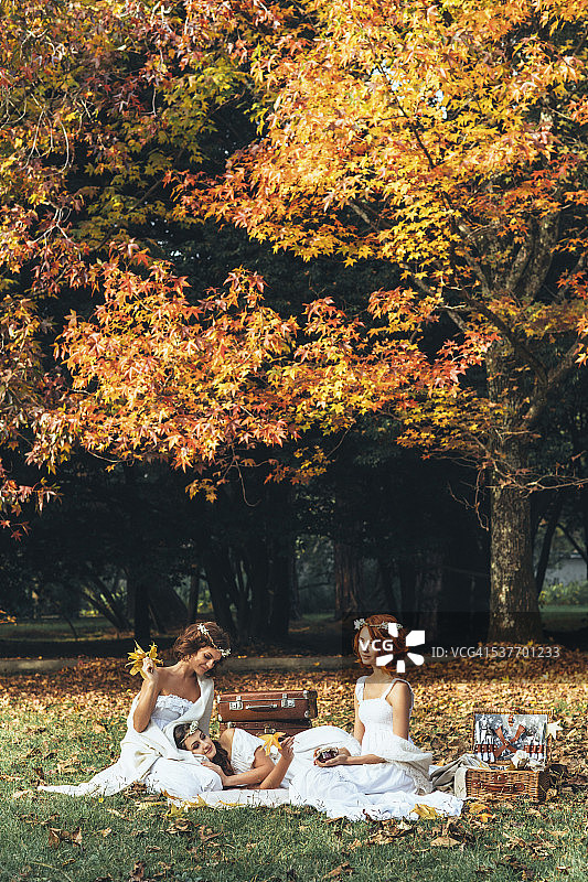 秋日森林背景下的三位美丽新娘图片素材