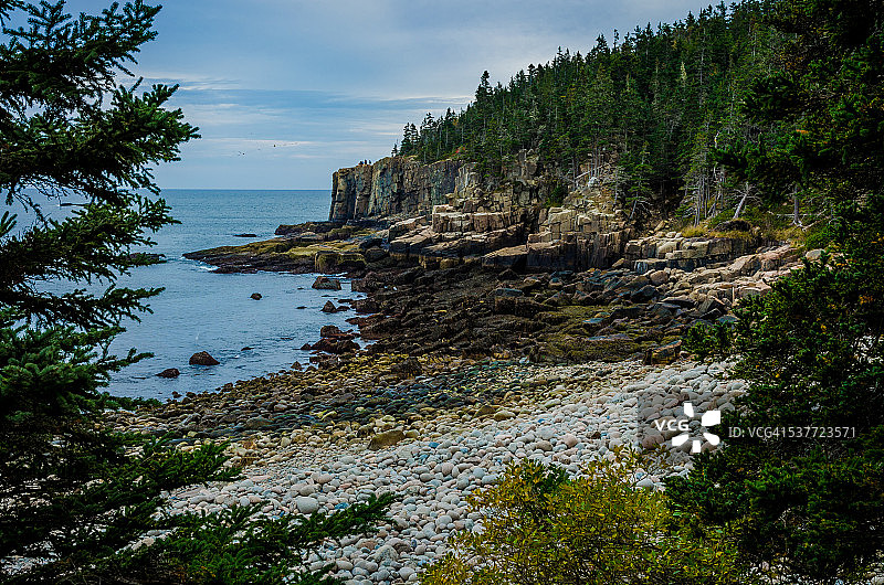 水獭悬崖图片素材
