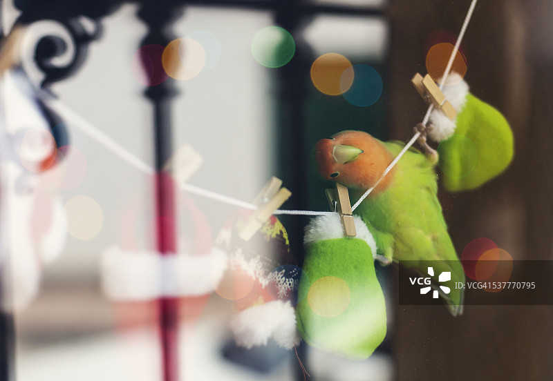 原创圣诞节装饰品图片素材