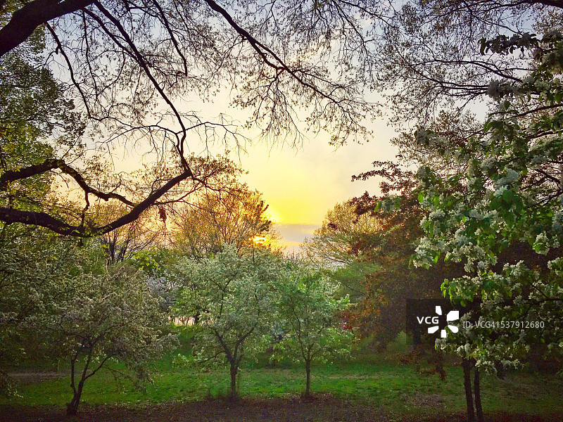 春季纽约市河滨公园的日落图片素材