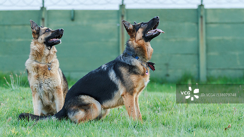 准备好了，等待中图片素材