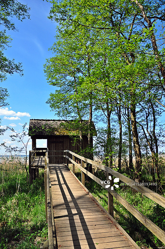 梅克伦堡-西波美拉尼亚穆里茨湖岸边的小屋图片素材