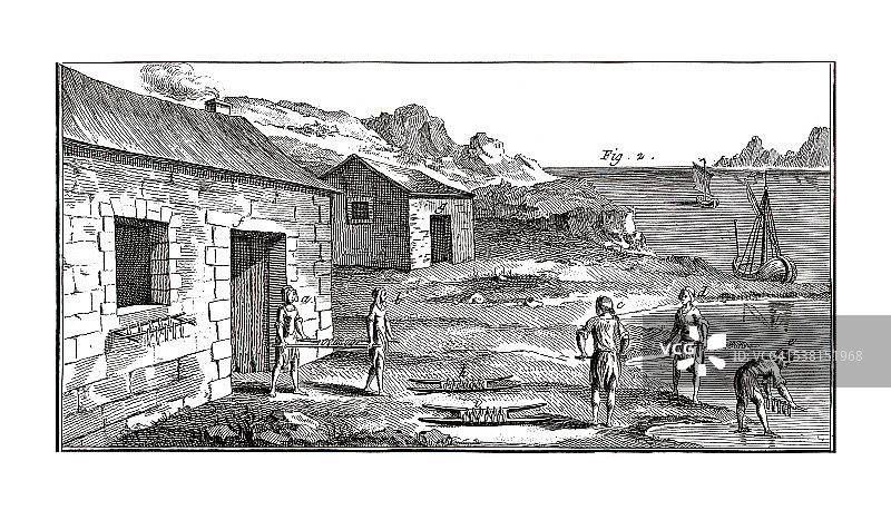 1771年古董插画上的咸水捕鱼业图片素材