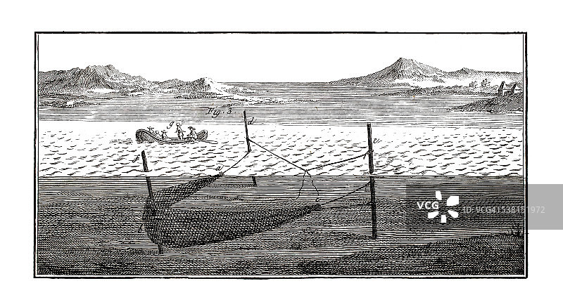 1771年古董插画上的咸水捕鱼业图片素材