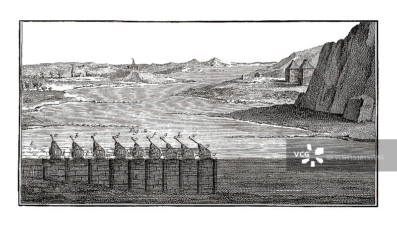 1771年古董插画上的咸水捕鱼业图片素材