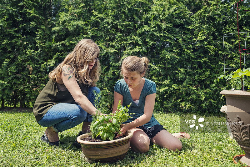 母女在户外后院园艺图片素材