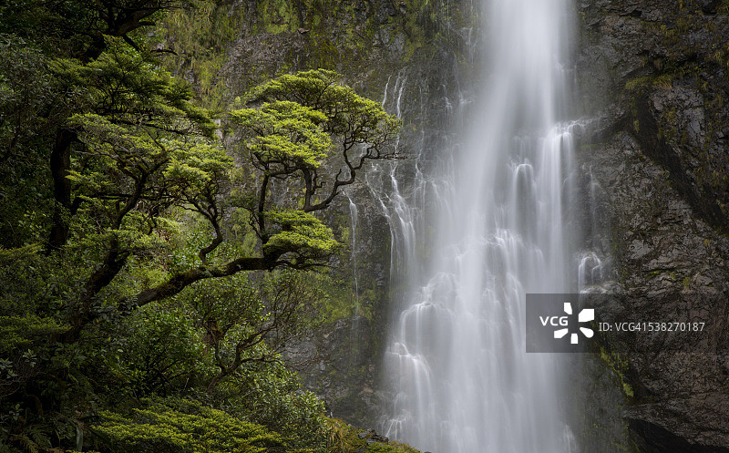 魔鬼碗图片素材