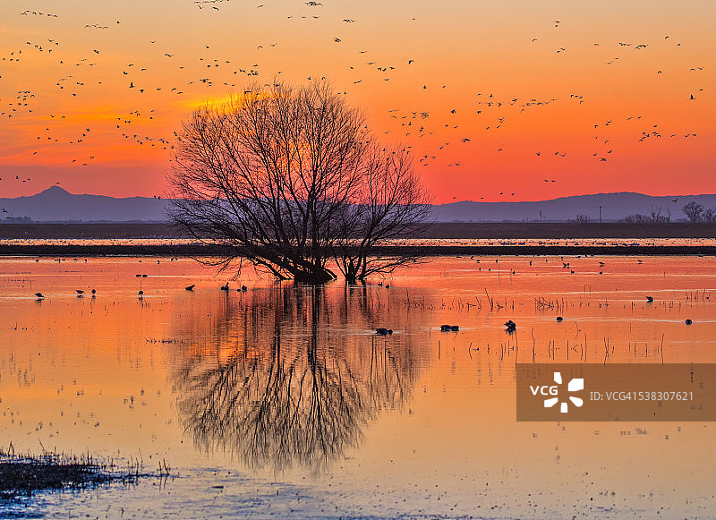 默塞德河日落图片素材