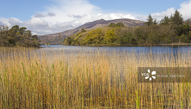 爱尔兰凯里郡基拉尼国家公园的穆克罗斯湖图片素材