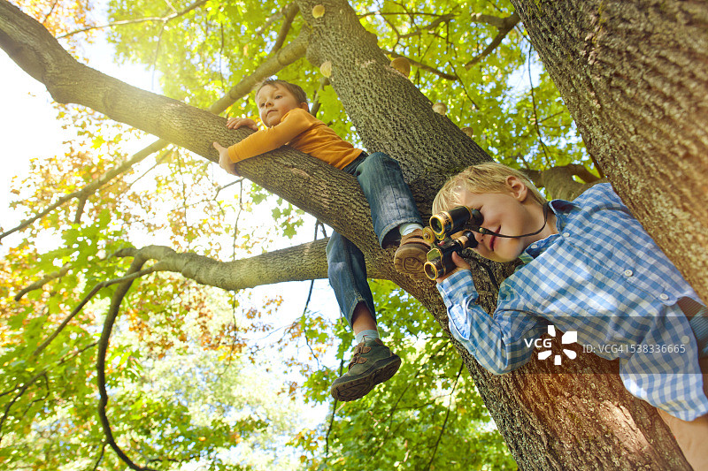 树上的小男孩们图片素材