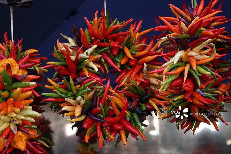 辣椒花环，西雅图图片素材