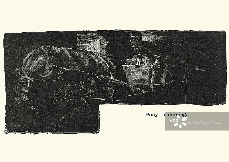 19世纪矿井中运煤的矿井矮种马图片素材