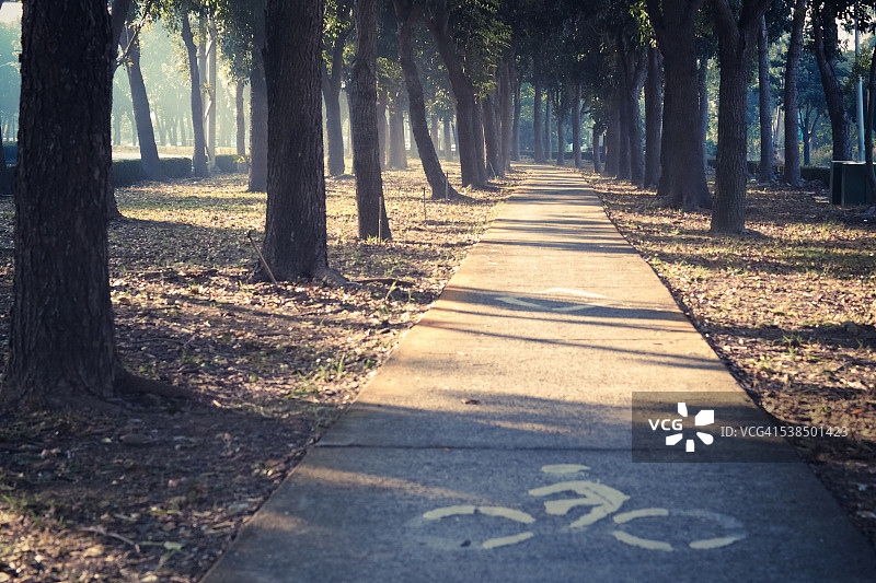 森林中的自行车道图片素材