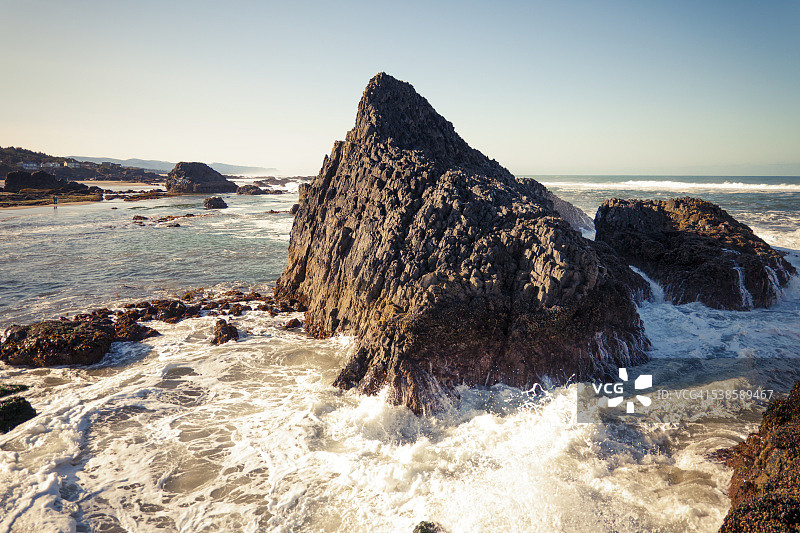 海豹岩海滩图片素材