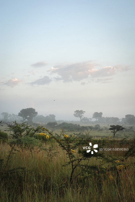 南非夸祖鲁-纳塔尔省图片素材