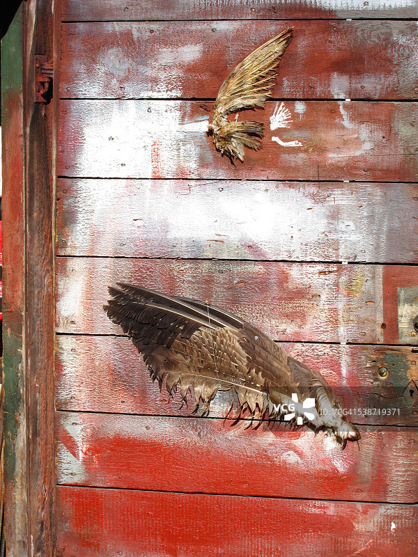 瑞典桑德哈姆的门细节图片素材