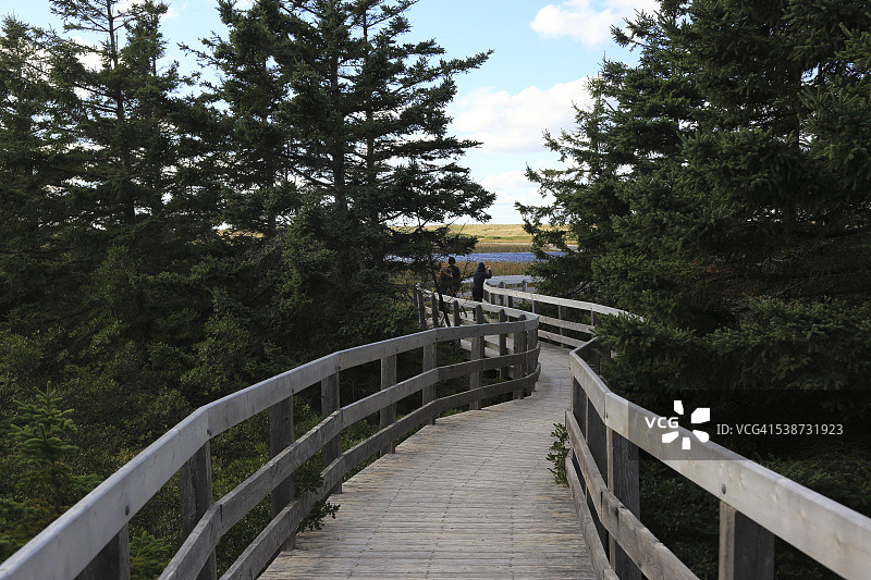 木制栈道图片素材