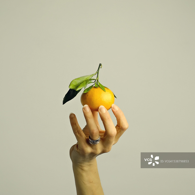 手持温州蜜柑图片素材