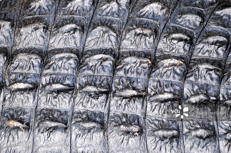 抽象的世界图片素材