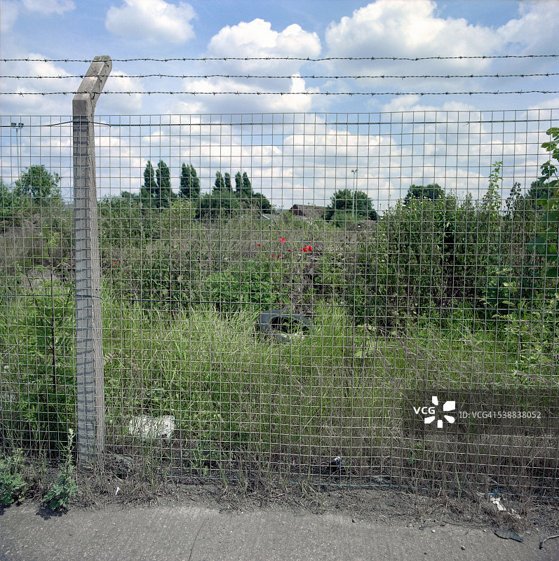 金属栅栏后植被茂盛的荒地图片素材