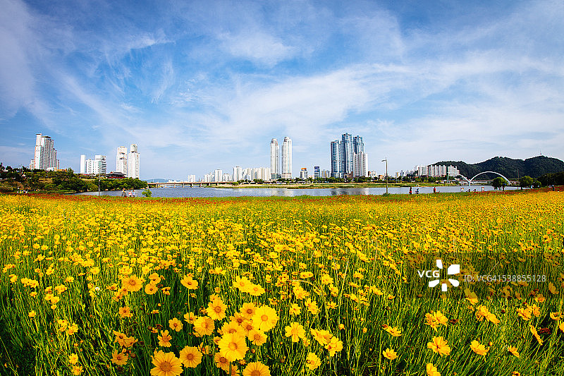春季太和江大公园图片素材